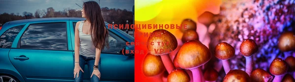 2c-b Лиски