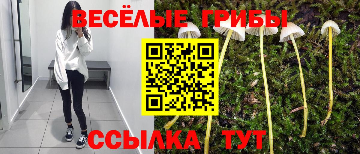 Псилоцибиновые грибы мицелий Мелеуз