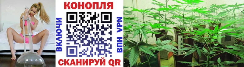 наркошоп  Мелеуз  Марихуана сатива 